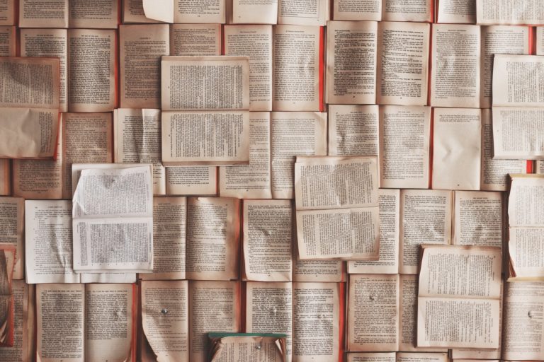 Enjoy the Creative Freedom to Tell Your Story Your Way with Mixbook