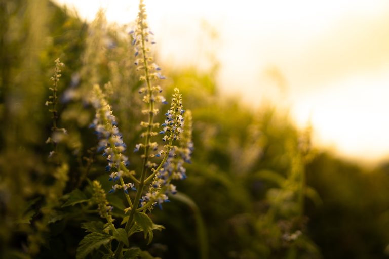Safety in the Spring: Avoiding Common Springtime Injuries