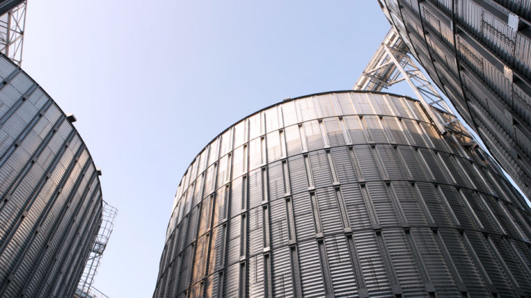 3 Things to Understand About How Silage Processing Happens