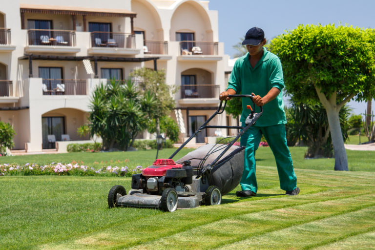 Basic Lawn Care Equipment For Your Landscaping Business