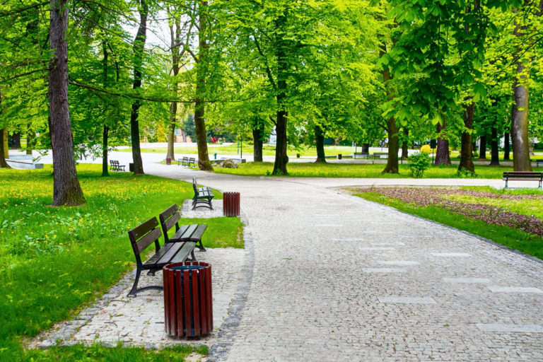 6 Budget-Friendly Ways to Redo Your Local Park this Summer
