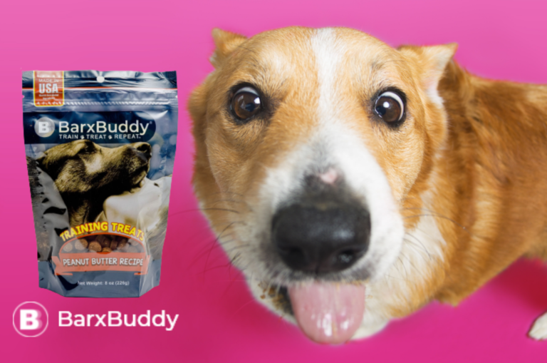 Doggy Dining: My Dog Can’t Get Enough of the BarxBuddy Training Treats: Peanut Butter Recipe