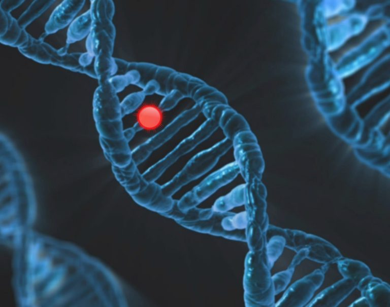 What Is CRISPR Cas9 Gene-Editing