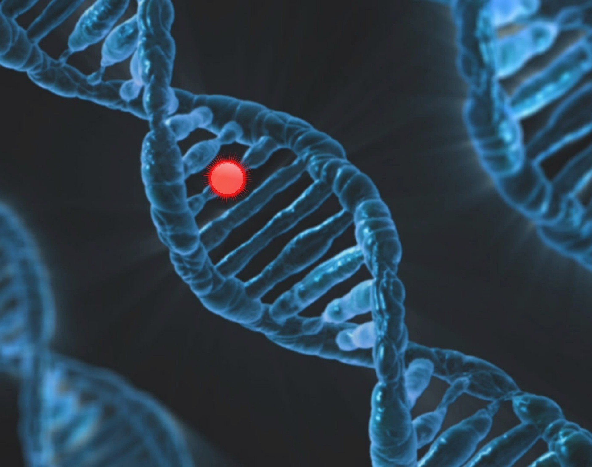 What Is CRISPR Cas9 Gene-Editing