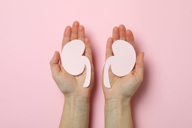 How to Know If Your Kidneys are Performing Correctly