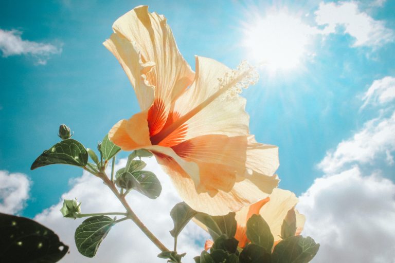 Sun Safety Reminders for Your Family