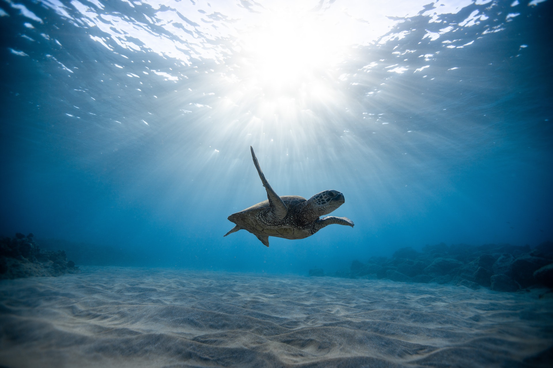 6 Benefits of Using a Small Submersible to Explore the Ocean