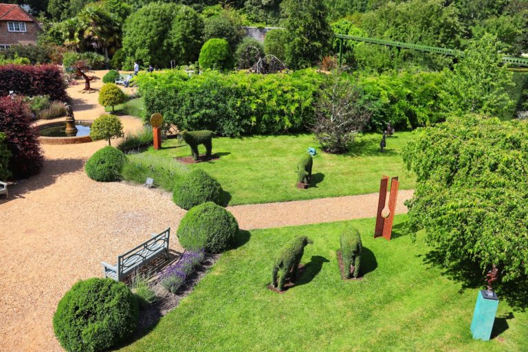 6 Reasons to Have Tree Stumps Removed From Your Yard