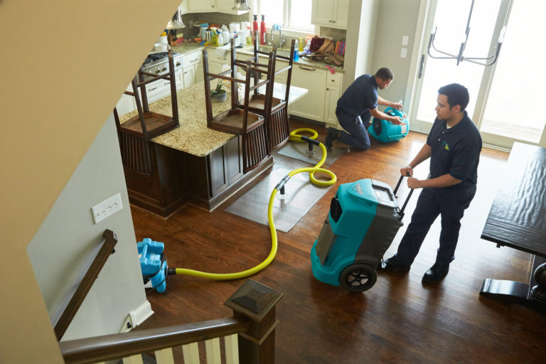 Innovations Shaping Water Damage Restoration