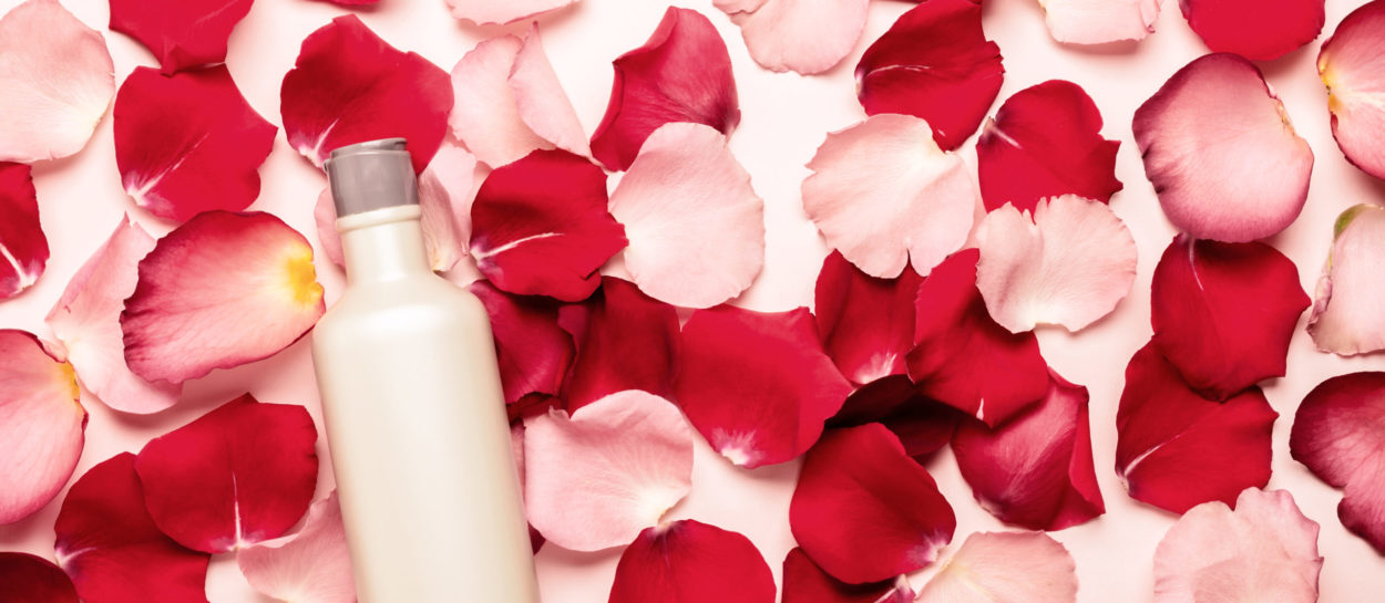 Roses and their health benefits