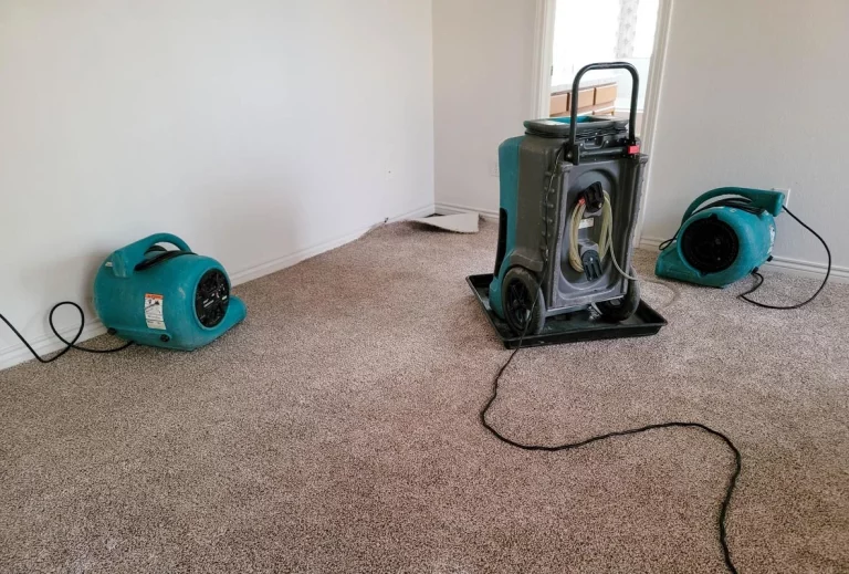Water Damages at Home: Ensuring Pet Safety