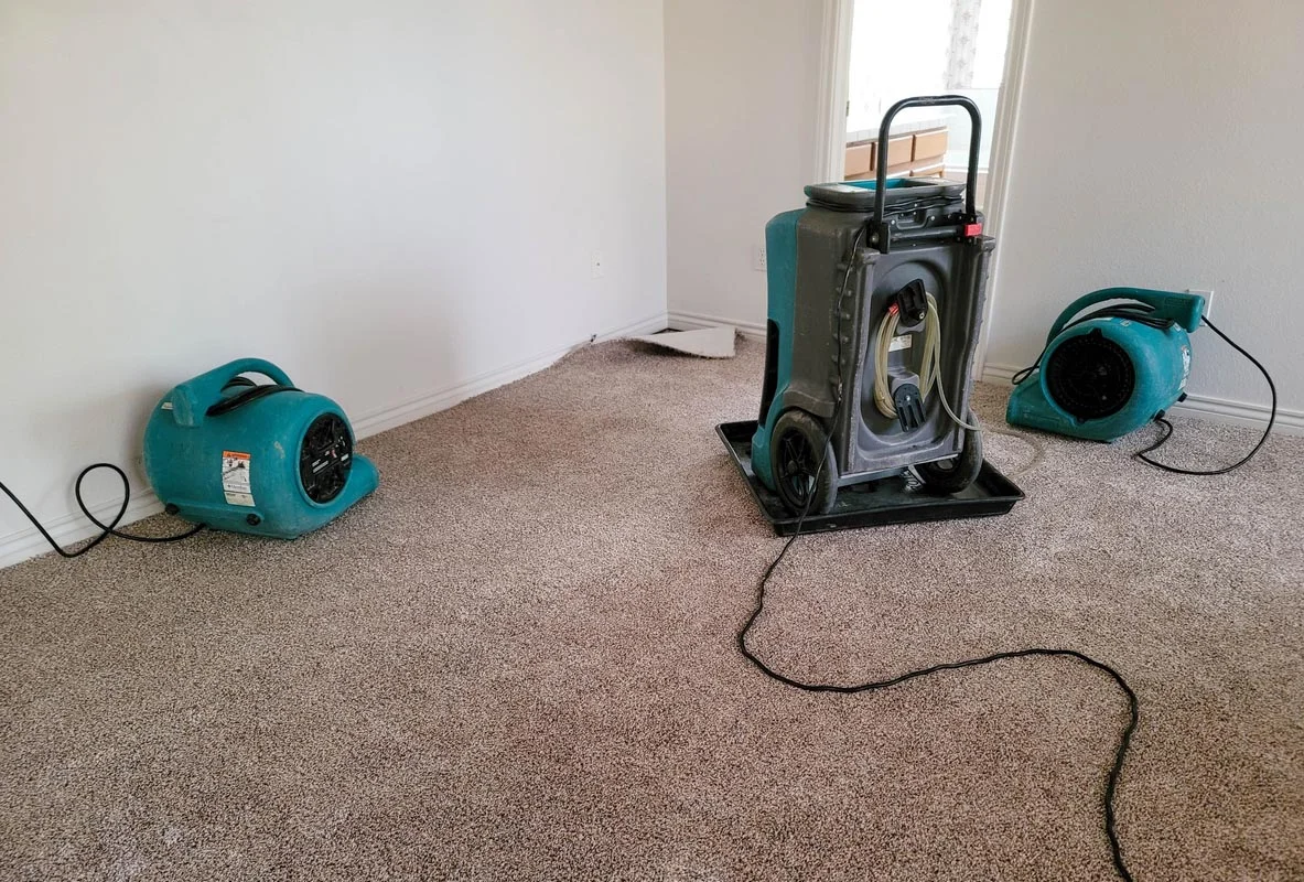 Water Damages at Home: Ensuring Pet Safety