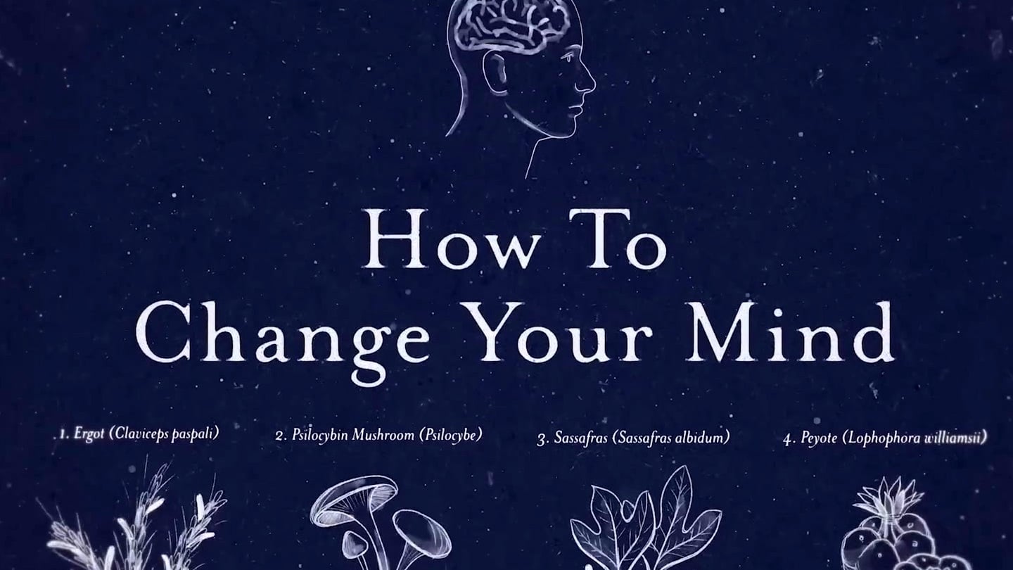 ways to change your mind