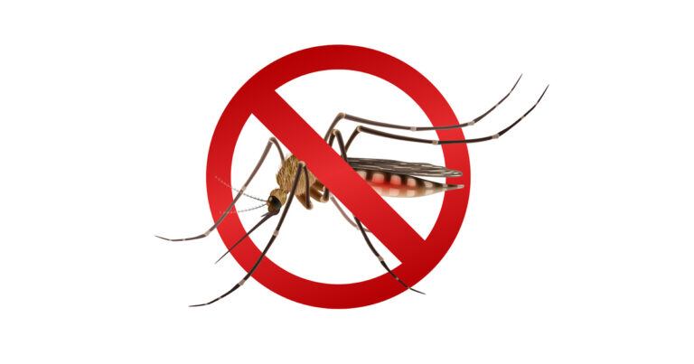 Effective Mosquito Control at Home Tips