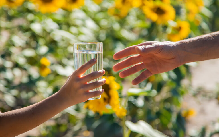 5 Tips for Sustainable Living at Home