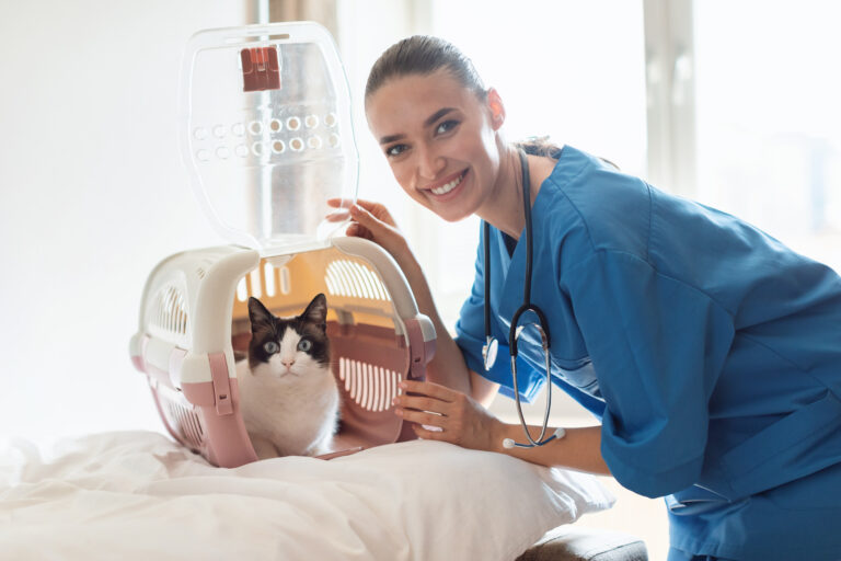 5 Things You Should Know Before Microchipping Your Pet