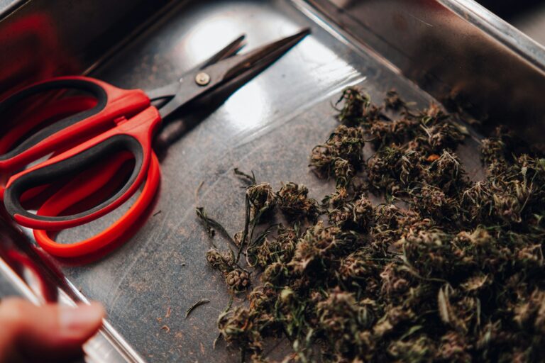 4 Care Tips for Helping Your Recreational Marijuana Last Longer