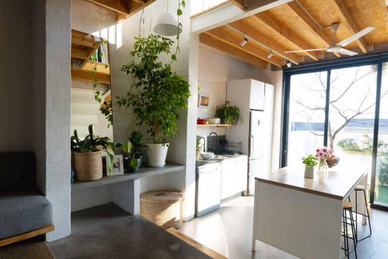 Sustainability Meets Style: Biophilic Design Trends for Urban Spaces