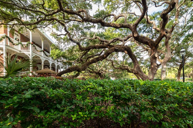 Balancing Beauty and Wellness: How Outdoor Spaces Contribute to Women’s Health