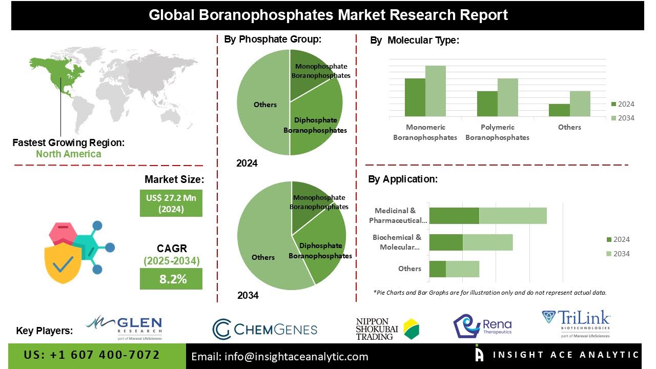 Boranophosphates Market Set for Breakthrough as Critical Component in Antisense Oligonucleotides and RNA Interference Therapies