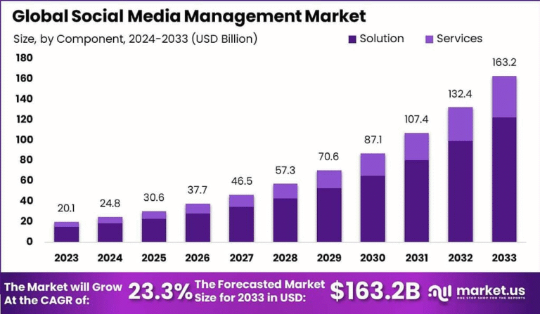 Powering Digital Engagement: Strategic Insights into the Social Media Management Market
