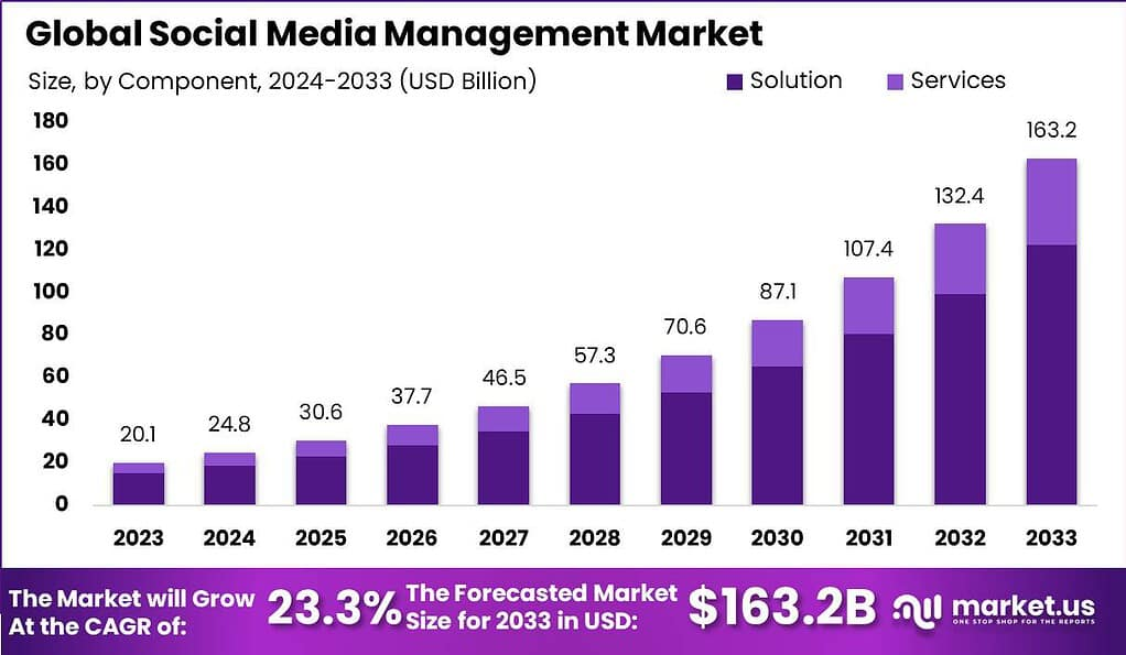 Powering Digital Engagement: Strategic Insights into the Social Media Management Market