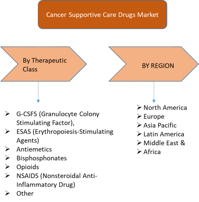 Cancer Supportive Care Drugs Market – Comprehensive Analysis, Growth Drivers, and Forecast to 2032