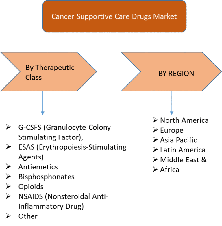 Cancer Supportive Care Drugs Market – Comprehensive Analysis, Growth Drivers, and Forecast to 2032