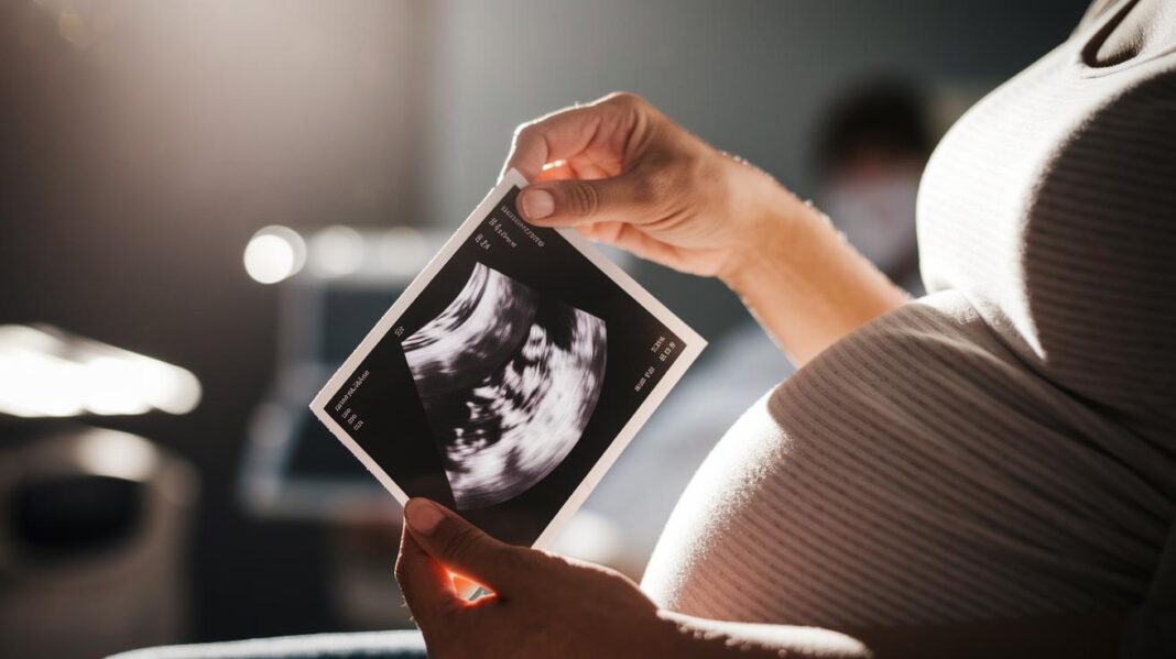 Integrated Prenatal Screening Approach: Empowering Pregnancy Insights